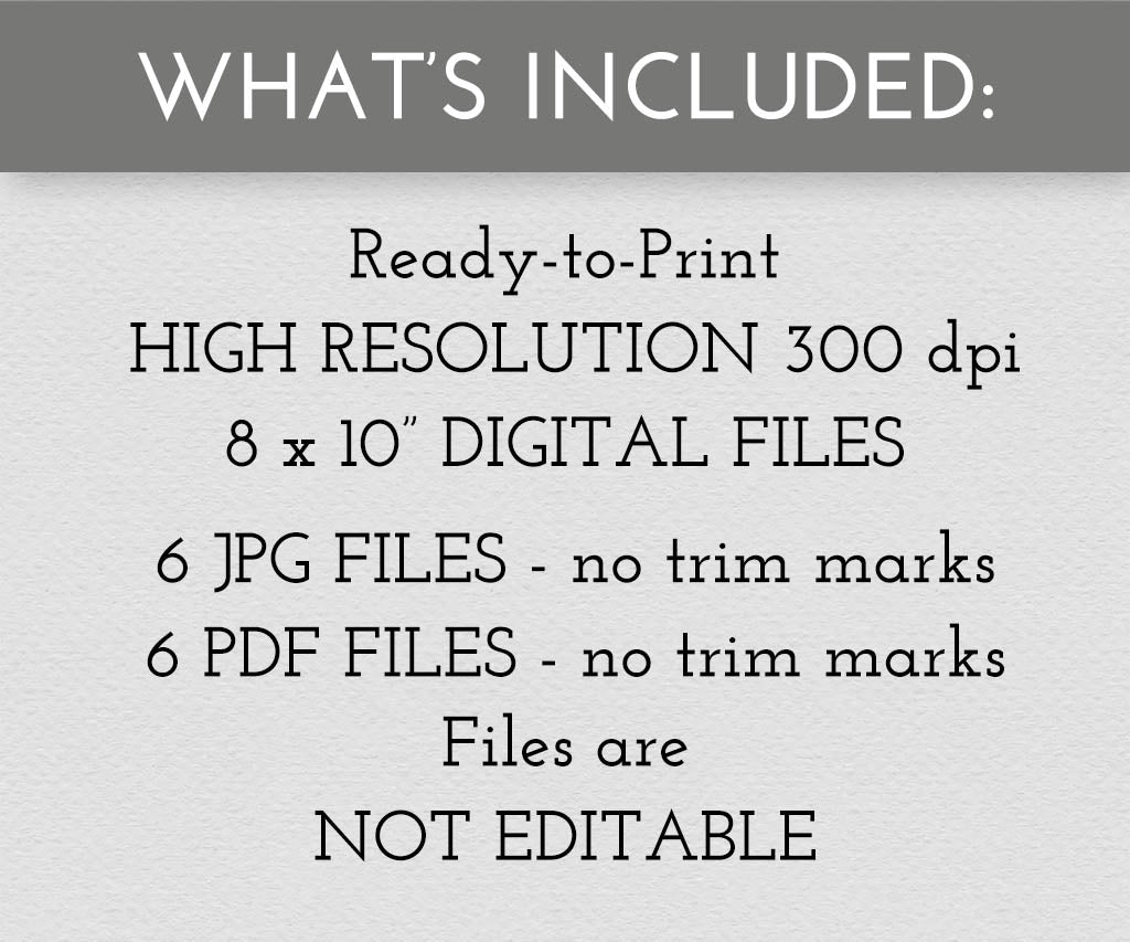 Text detailing included items for digital files on a gray background.