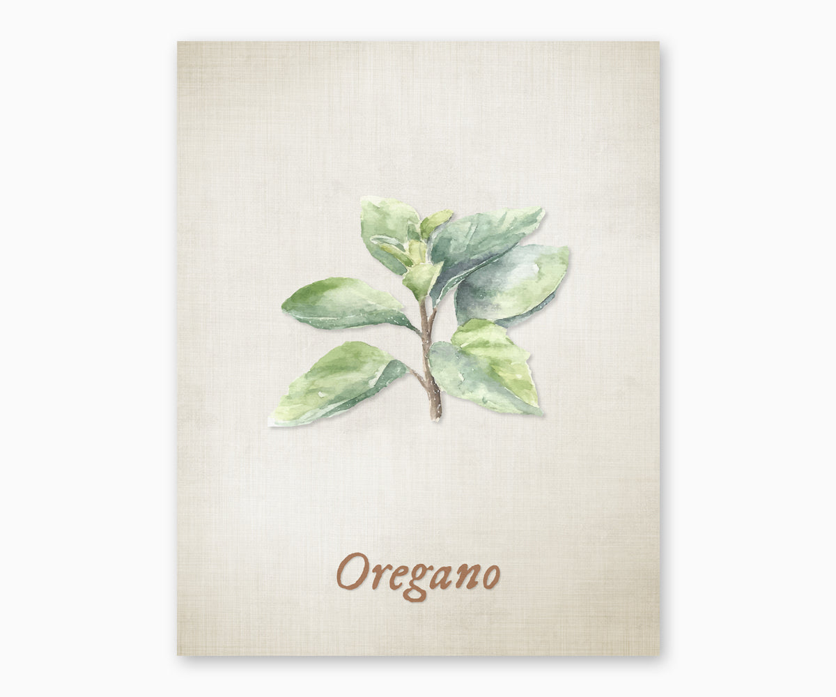 Vintage style illustration of oregano leaves on a beige background with the word 'Oregano' written below.