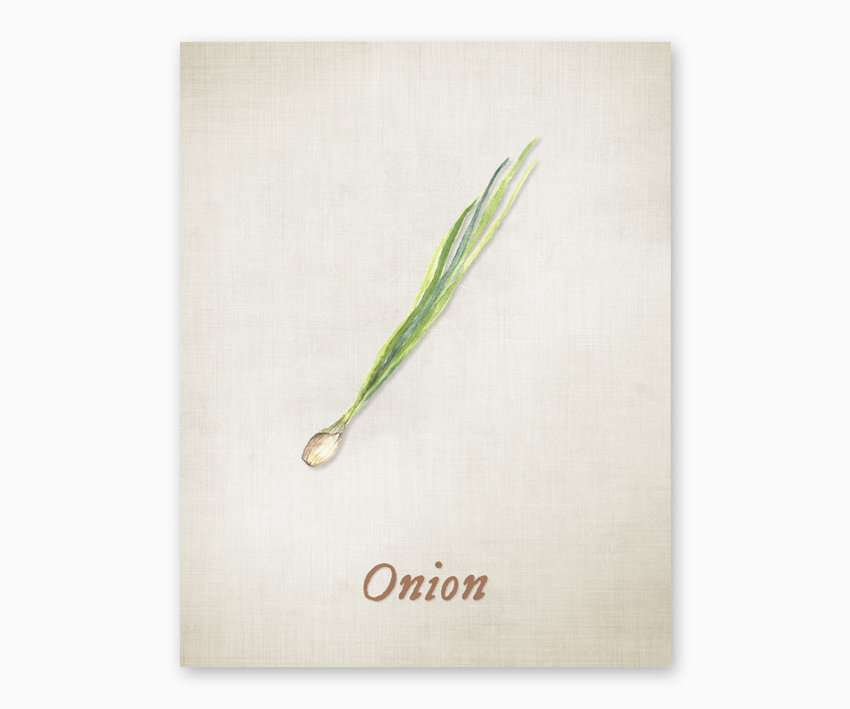 Vintage style illustration of onion with green stem on a beige background with 'Onion' text.