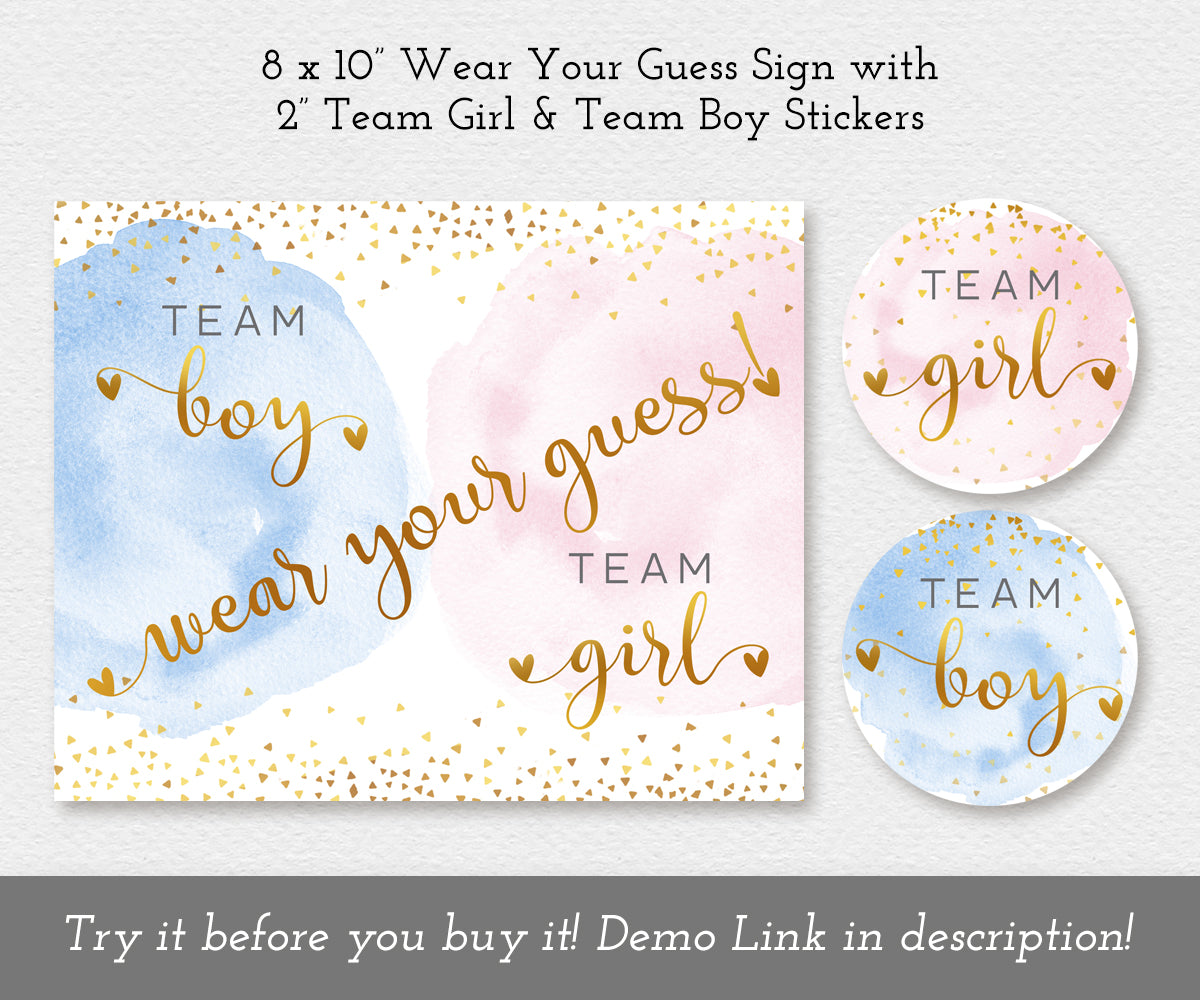 2 inch Team boy team girl stickers and 8 x 10 inch wear your guess sign in blue and pink smoke for gender reveal party