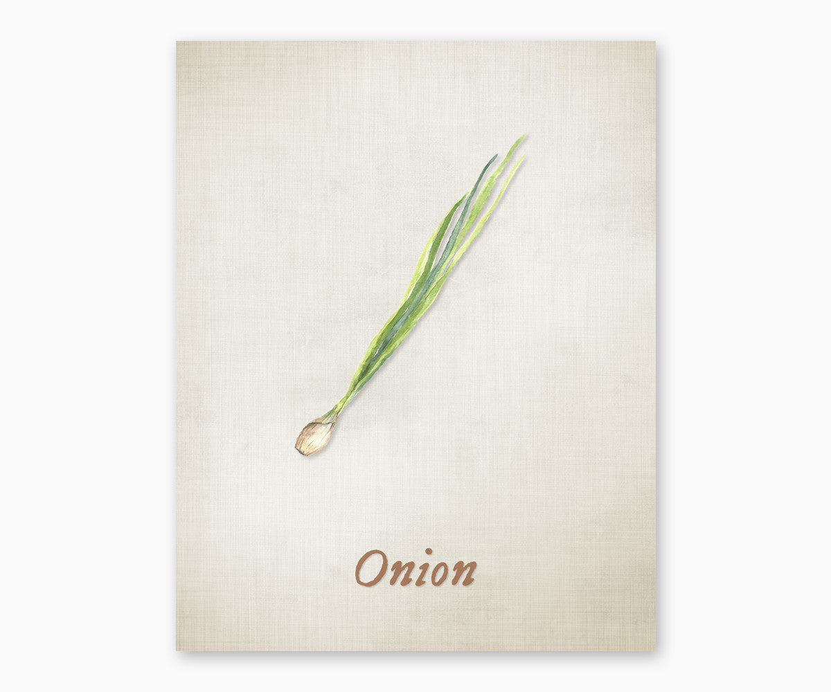 Onion Vintage Kitchen Wall Art