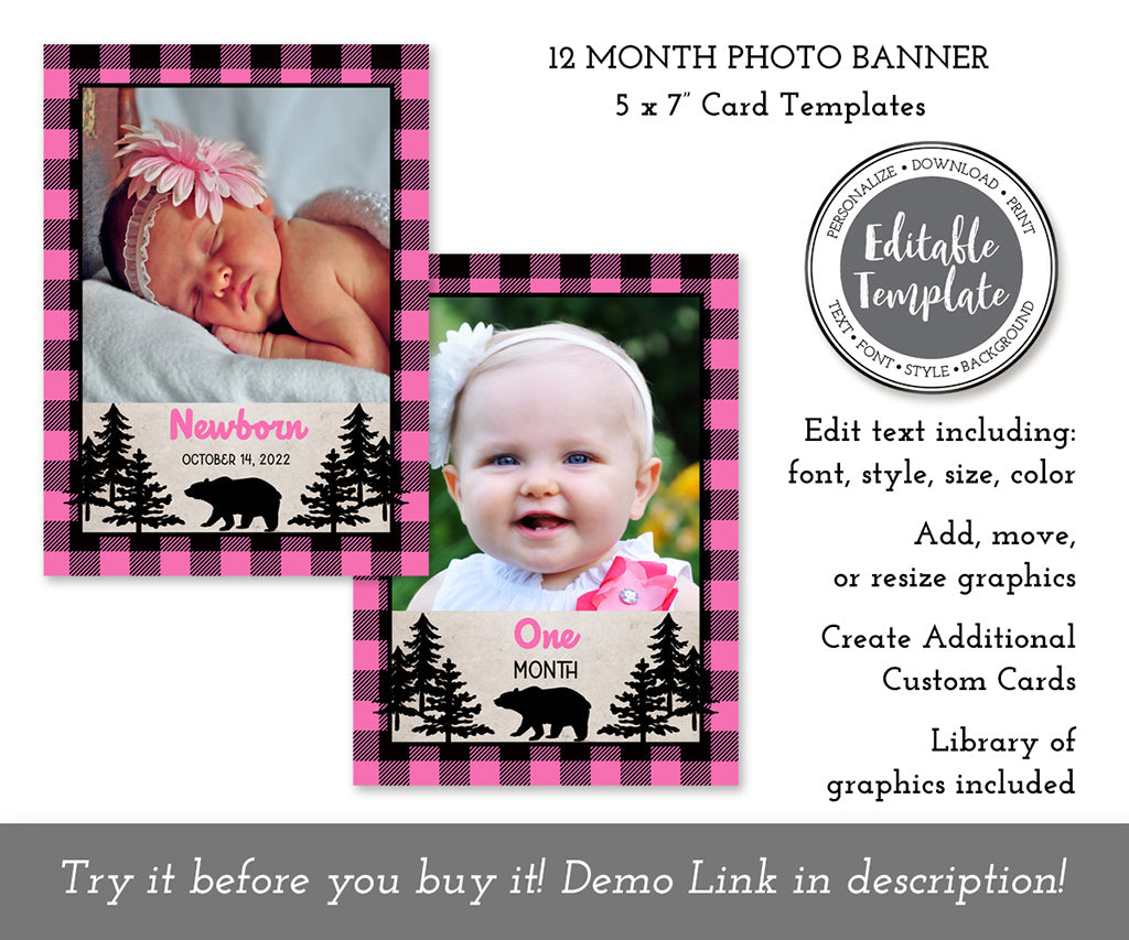 Pink buffalo plaid wild one first year photo banner editable template.