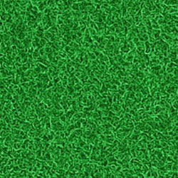 Football field turf.