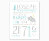 Tribal Birth Stats Nursery art with arrow and buffalo motifs in  light green and gray