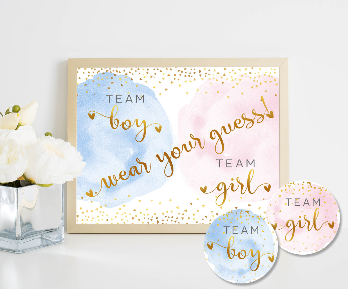 Team boy team girl stickers and wear your guess sign in blue and pink smoke for gender reveal party